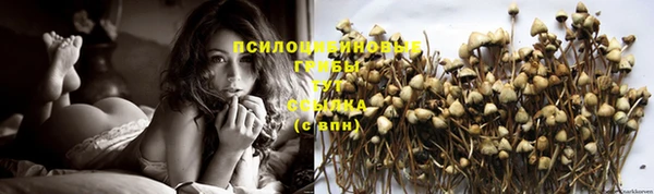прущие крисы Богданович