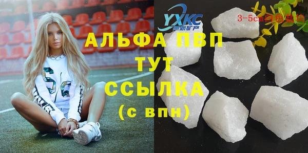 прущие крисы Богданович