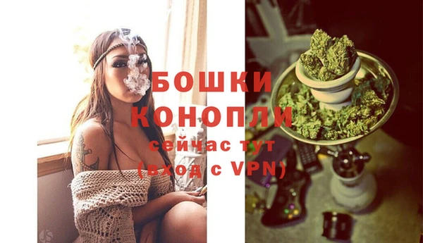 прущие крисы Богданович