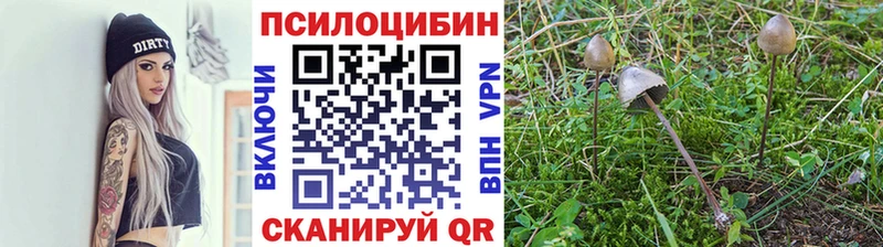 Купить  Наро-Фоминск  Псилоцибиновые грибы Magic Shrooms 